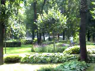 Квартира посуточно.Москва, центр, м Фрунзенская